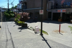 rs_P1030124