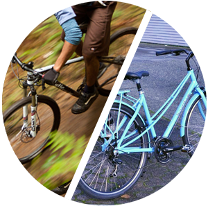 bike rental