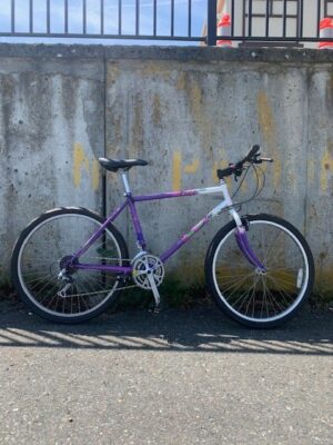 BRC Kamikaze - 18.5" frame