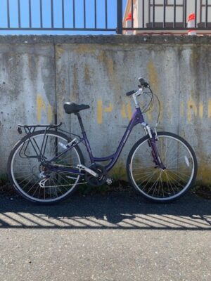 Specialized Crossroads Sport (17" size)