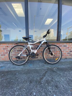 Raleigh Tarantula (19" size frame)