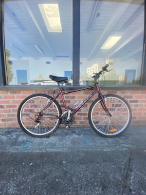 Norco Katmandu (18" medium size frame)