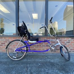Sun EZ Sport Recumbent, Long