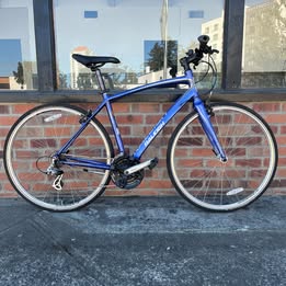 Raleigh Cadent FT0 Hybrid, Medium
